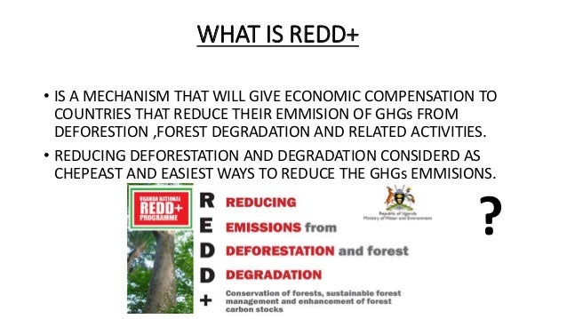 Climate change presentation+ REDD AND REDD+