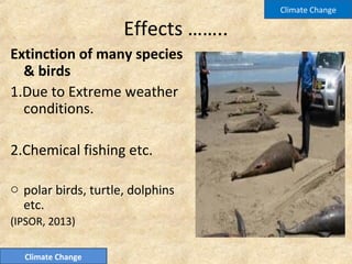 Effects ……..
Extinction of many species
& birds
1.Due to Extreme weather
conditions.
2.Chemical fishing etc.
o polar birds, turtle, dolphins
etc.
(IPSOR, 2013)
Climate Change
Climate Change
 