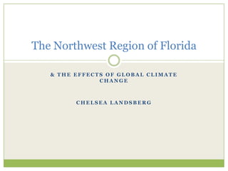& the Effects of Global Climate Change Chelsea Landsberg The Northwest Region of Florida 