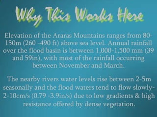 Why This Works Here
Elevation of the Araras Mountains ranges from 80-
 150m (260 -490 ft) above sea level. Annual rainfall
over the flood basin is between 1,000-1,500 mm (39
   and 59in), with most of the rainfall occurring
           between November and March.
 The nearby rivers water levels rise between 2-5m
seasonally and the flood waters tend to flow slowly-
2-10cm/s (0.79 -3.9in/s) due to low gradients & high
      resistance offered by dense vegetation.
 