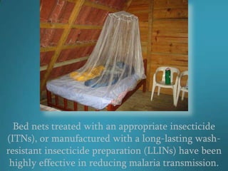 Bed nets treated with an appropriate insecticide
(ITNs), or manufactured with a long-lasting wash-
resistant insecticide preparation (LLINs) have been
 highly effective in reducing malaria transmission.
 