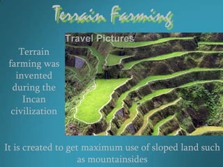 Terrain Farming
    Terrain
 farming was
   invented
  during the
     Incan
  civilization


It is created to get maximum use of sloped land such
                    as mountainsides
 