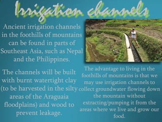 Irrigation channels
 Ancient irrigation channels
in the foothills of mountains
   can be found in parts of
Southeast Asia, such as Nepal
     and the Philippines.
                                The advantage to living in the
 The channels will be built foothills of mountains is that we
with burnt watertight clay may use irrigation channels to
(to be harvested in the silty collect groundwater flowing down
    areas of the Araguaia            the mountain without
  floodplains) and wood to extracting/pumping it from the
                              areas where we live and grow our
      prevent leakage.                      food.
 