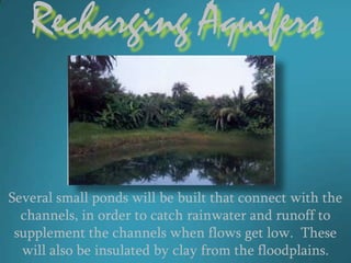 Recharging Aquifers


Several small ponds will be built that connect with the
  channels, in order to catch rainwater and runoff to
 supplement the channels when flows get low. These
  will also be insulated by clay from the floodplains.
 