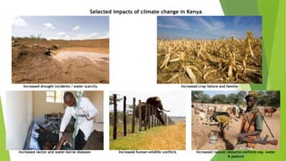 Kenya Youth Engagement in Climate Change Mitigation Adaptation Through ...