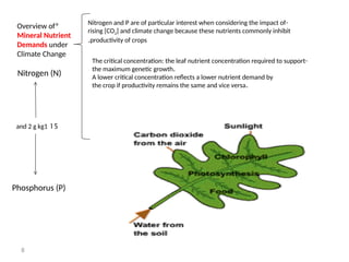 8
*
Overview of
Mineral Nutrient
Demands under
Climate Change
Nitrogen (N)
Phosphorus (P)
15
and 2 g kg1
-
Nitrogen and P are of particular interest when considering the impact of
rising [CO2] and climate change because these nutrients commonly inhibit
productivity of crops
.
-
The critical concentration: the leaf nutrient concentration required to support
.
the maximum genetic growth
A lower critical concentration reflects a lower nutrient demand by
.
the crop if productivity remains the same and vice versa
 