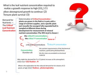 9
What is the leaf nutrient concentration required to
(
1
)
realize a growth response to high [CO2]
(
2
)
allow aboveground growth to continue
(
3
)
ensure plant survival
?
Demand for
Nutrients —
The Critical
Leaf Nutrient
Concentration
-
Determination of Critical Concentration
plants are grown in the field or in pots with a
range of nutrient supplies, and a specific plant
part (usually the youngest fully expanded leaf) is
sampled at different times during
development for measurement of mineral
nutrient concentration (The 90% level is chosen )
C3
C4
the critical N concentrations
the critical P concentration Same or
critical N concentrations critical P concentration
?
Concentration
(
function of
)
the nutrient requirements of the biochemical
reactions, particularly photosynthesis
the dry mass accumulated as structural
material
Why might the demand for P in C3 plants increase as the atmospheric
[CO2] rises? CO2 fixation , Pi
What is the explanation for the reduced demand for N in leaves of C3
plants at high [CO2]? Rubisco , photorespiration
 