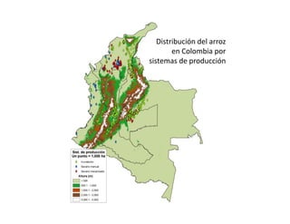 Climate change scenarios_lac_rice