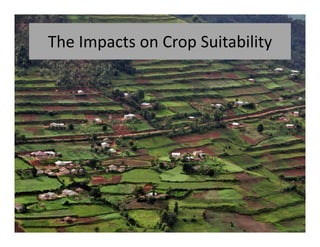Climate change scenarios_lac_rice