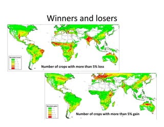 Climate change scenarios_lac_rice