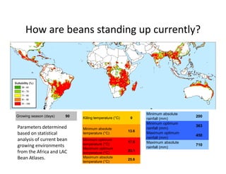 Climate change scenarios_lac_rice
