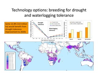 Climate change scenarios_lac_rice