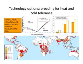 Climate change scenarios_lac_rice