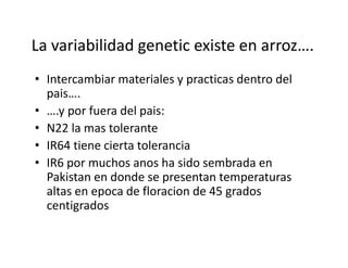 Climate change scenarios_lac_rice