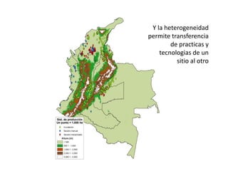 Climate change scenarios_lac_rice