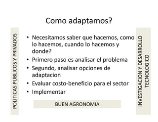 Climate change scenarios_lac_rice