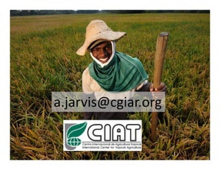 Climate change scenarios_lac_rice