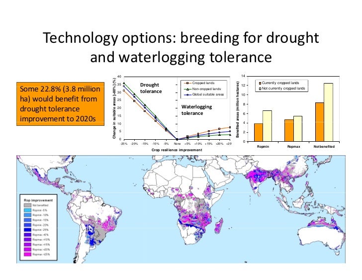 Climate Change Scenarios Lac Rice