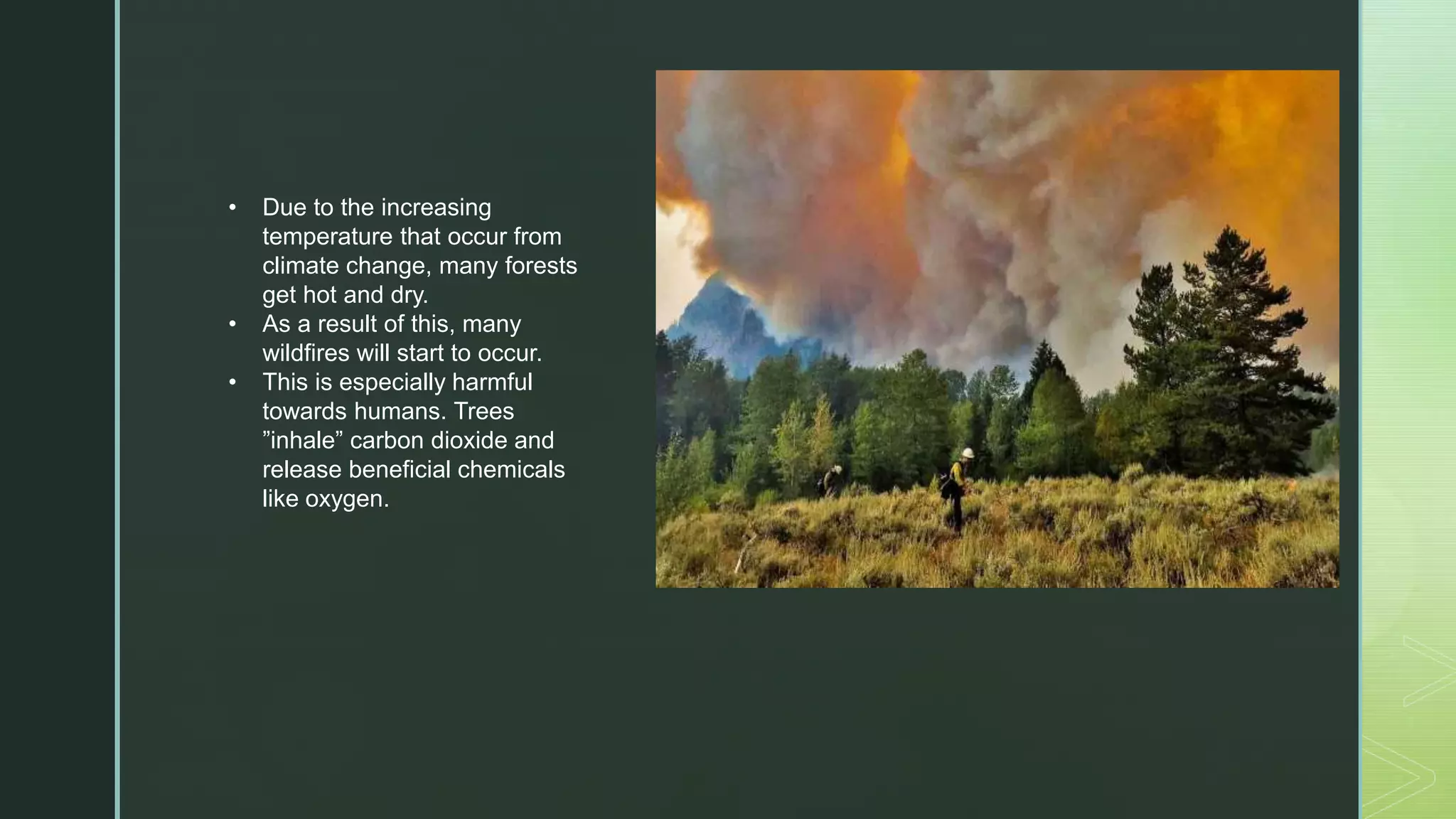 Climate change slideshow ppt