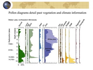 Pollen diagrams detail past vegetation and climate information 
 