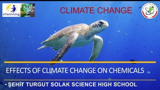 • ŞEHİT TURGUT SOLAK SCIENCE HIGH SCHOOL
CLIMATE CHANGE
EFFECTS OFCLIMATE CHANGE ON CHEMICALS
 