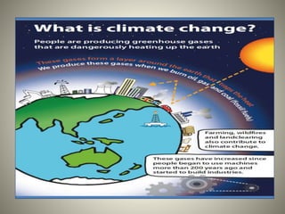 Climate Change & sustainability.pdf