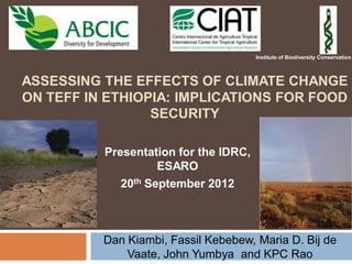 ASSESSING THE EFFECTS OF CLIMATE CHANGE
ON TEFF IN ETHIOPIA: IMPLICATIONS FOR FOOD
SECURITY
Dan Kiambi, Fassil Kebebew, Maria D. Bij de
Vaate, John Yumbya and KPC Rao
Institute of Biodiversity Conservation
Presentation for the IDRC,
ESARO
20th September 2012
 