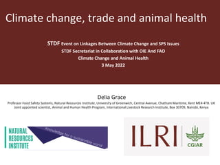 Climate change, trade and animal health
STDF Event on Linkages Between Climate Change and SPS Issues
STDF Secretariat in Collaboration with OIE And FAO
Climate Change and Animal Health
3 May 2022
Delia Grace
Professor Food Safety Systems, Natural Resources Institute, University of Greenwich, Central Avenue, Chatham Maritime, Kent ME4 4TB. UK
Joint appointed scientist, Animal and Human Health Program, International Livestock Research Institute, Box 30709, Nairobi, Kenya
 