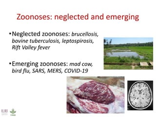 Climate change, trade and animal health