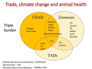 Trade, climate change and animal health
Zoonoses
Ectopar
Liver fluke
FMD
HS
CBPP
Diarrhoeal diseases
RVF
CSAD
Anthrax
Lept...