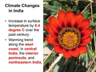 Climate Changes
 in India

• Increase in surface
  temperature by 0.4
  degree C over the
  past century.
• Warming trend
  along the west
  coast, in central
  India, the interior
  peninsula, and
  northeastern India.
 