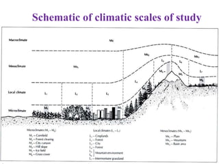 Climate classification prepared by Dr.BABU N | PPTX