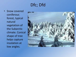 Dfc Climate Climate classifications Koppen// koppen climate classification of world ...