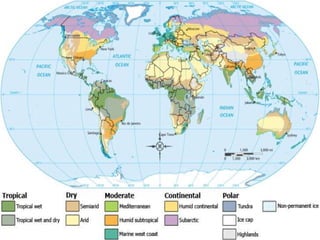 Climate,climate patterns and biomes | PPTX
