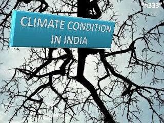 Climate condition in India