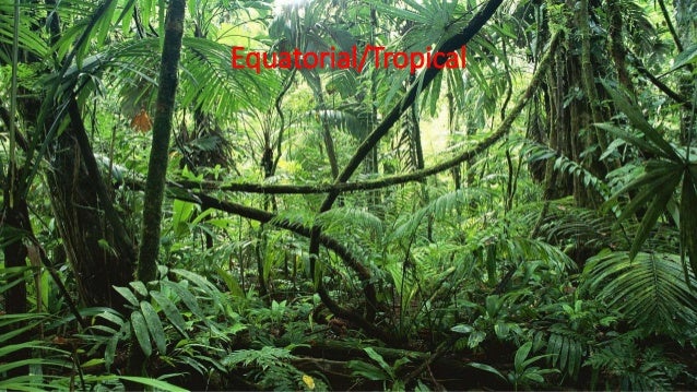 Climate - Junior Cert Geography