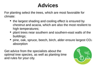 Advices
For planting select the trees, which are most favorable for
climate:
 the largest shading and cooling effect is ensured by
chestnut and acacia, which are also the most resilient to
high temperatures;
 plant trees near southern and southern-east walls of the
buildings;
 pine, oak, spruce, beech, birch, alder ensure largest СО2
absorption
Get advice from the specialists about the
optimal tree species, as well as planting time
and rules for your city.
 