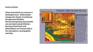 Human Activity 
Urban heat islands are common is 
developed areas. Deforestation 
changes the climate of rainforests 
through desertification. 
Overuse/overgrazing of grasslands 
can also lead to desertification. 
Burning of fossil fuels and 
deforestation can increase CO2 in 
the atmosphere, causing global 
warming. 
 
