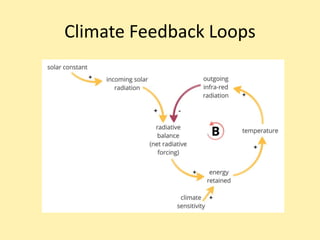 Climate Feedback Loops
 