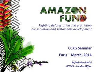1
CCXG Seminar
Paris – March, 2014
Rafael Marchesini
BNDES – London Office
Fighting deforestation and promoting
conservation and sustainable development
 