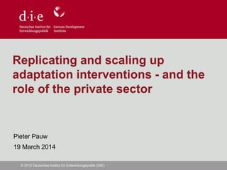 © 2012 Deutsches Institut für Entwicklungspolitik (DIE)
Replicating and scaling up
adaptation interventions - and the
role of the private sector
Pieter Pauw
19 March 2014
 