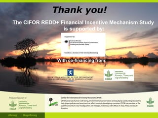 Climate financing in Indonesia: Finance for REDD+ & forest conservation