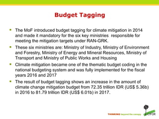 Climate financing in Indonesia: Finance for REDD+ & forest conservation