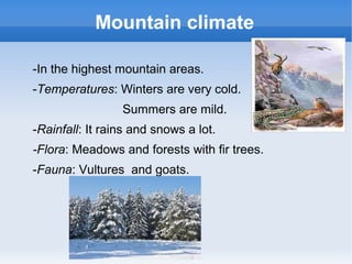 Mountain climate

-In the highest mountain areas.
-Temperatures: Winters are very cold.
                 Summers are mild.
-Rainfall: It rains and snows a lot.
-Flora: Meadows and forests with fir trees.
-Fauna: Vultures and goats.
 