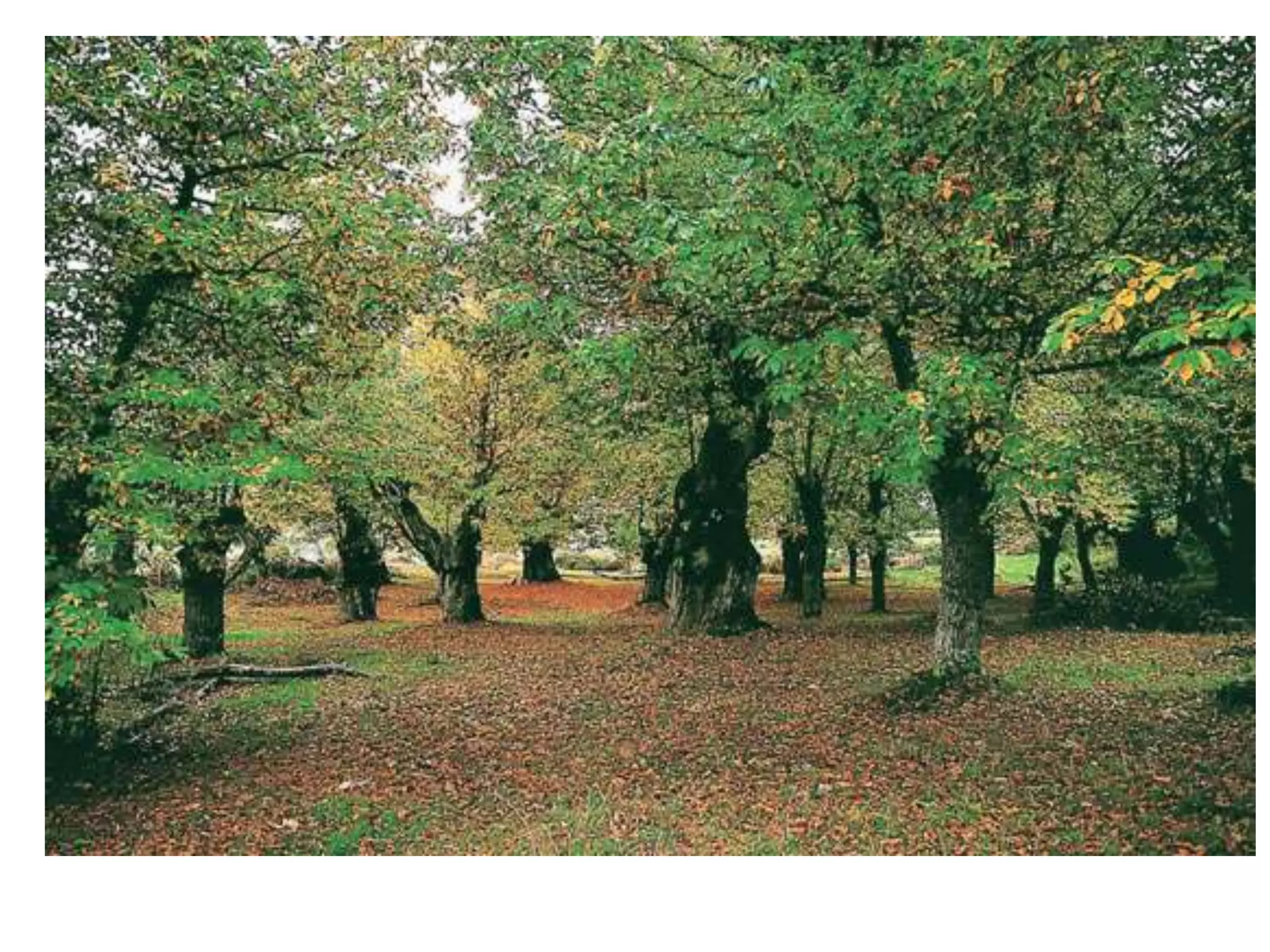 Climate graphs and landscapes