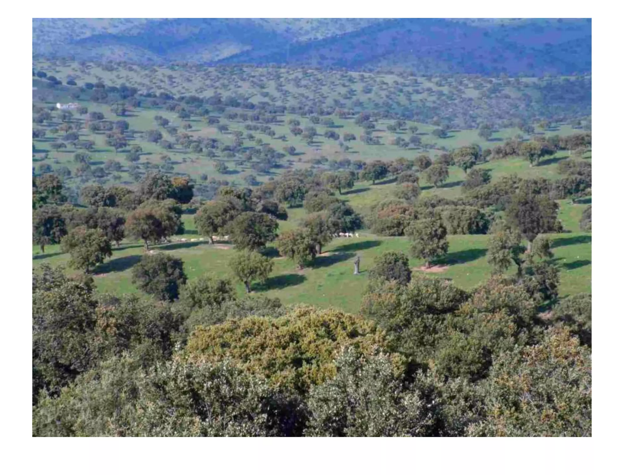 Climate graphs and landscapes