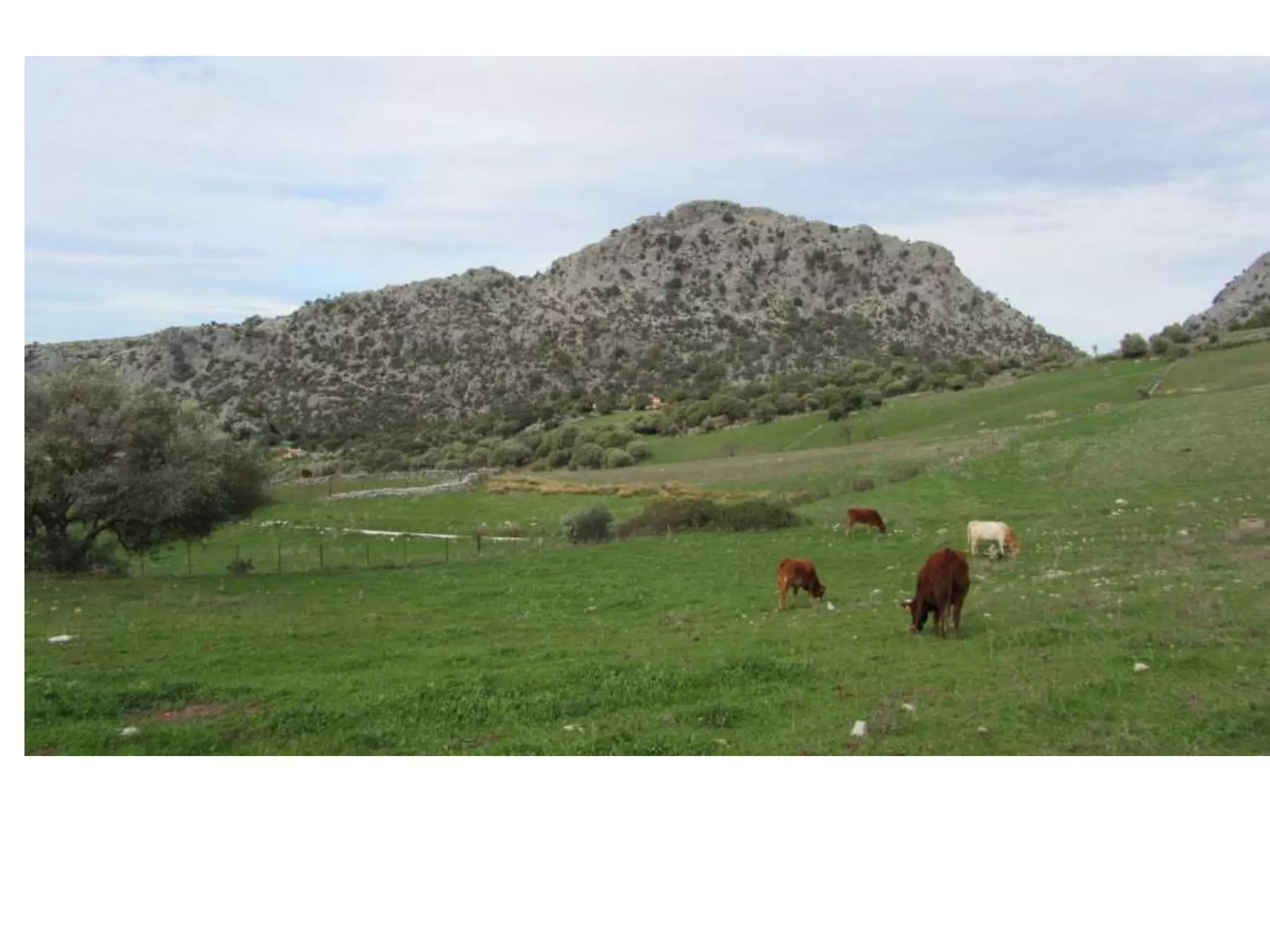 Climate graphs and landscapes