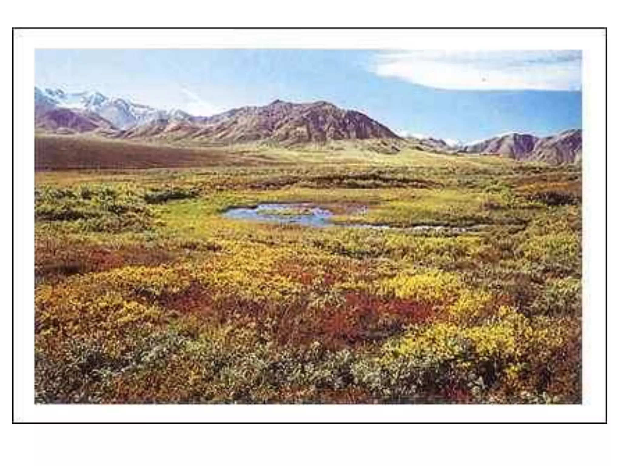 Climate graphs and landscapes