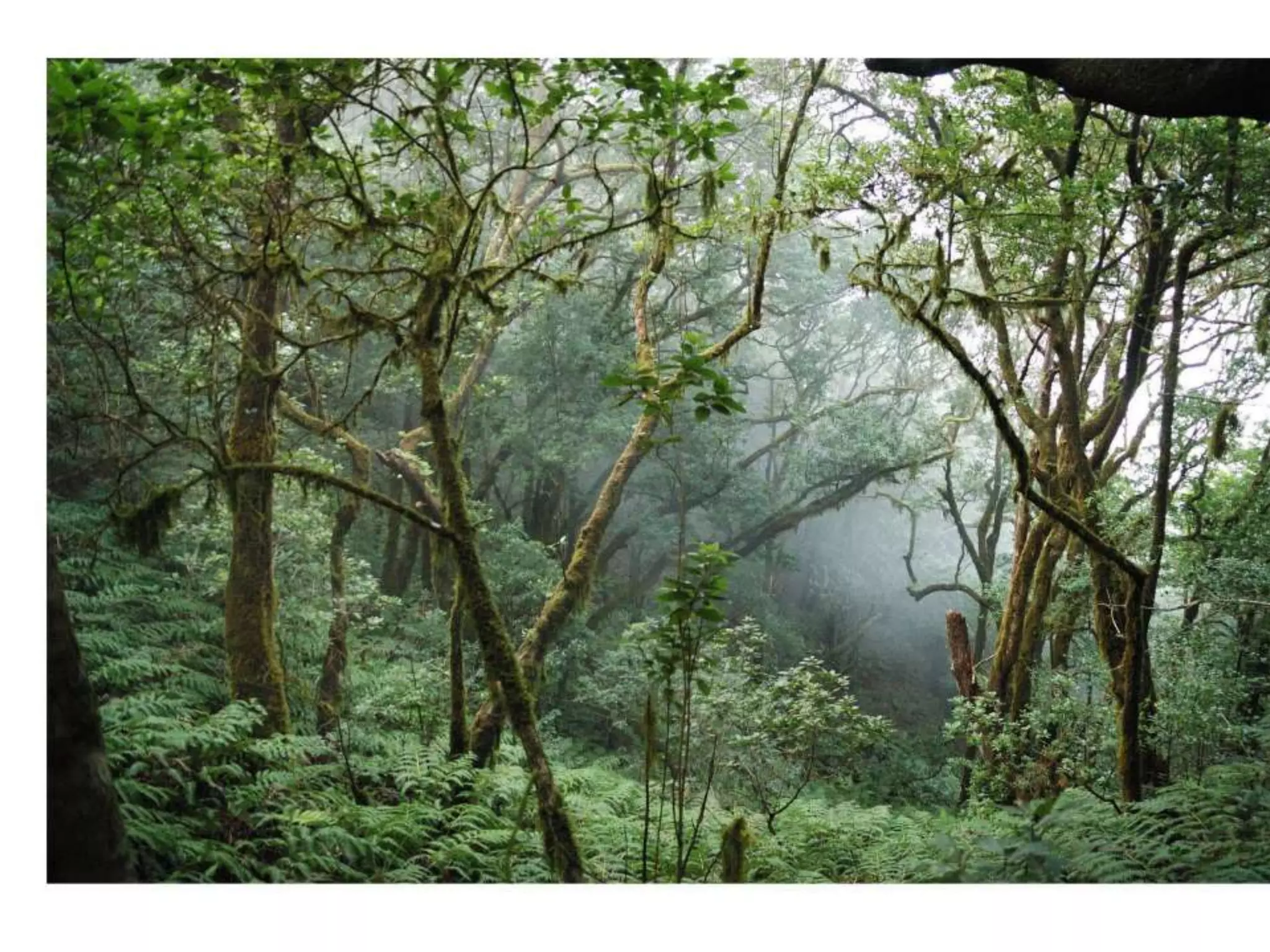 Climate graphs and landscapes