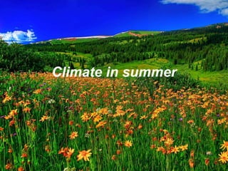 Climate in summer 
 
